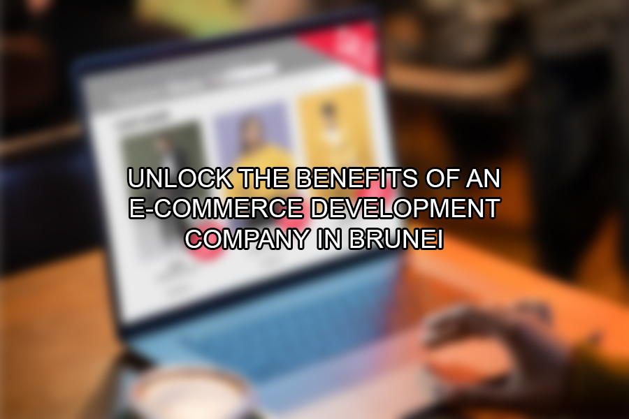 Unlock the Benefits of an E-commerce Development Company in Brunei