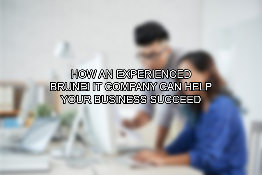 How an Experienced Brunei IT Company Can Help Your Business Succeed