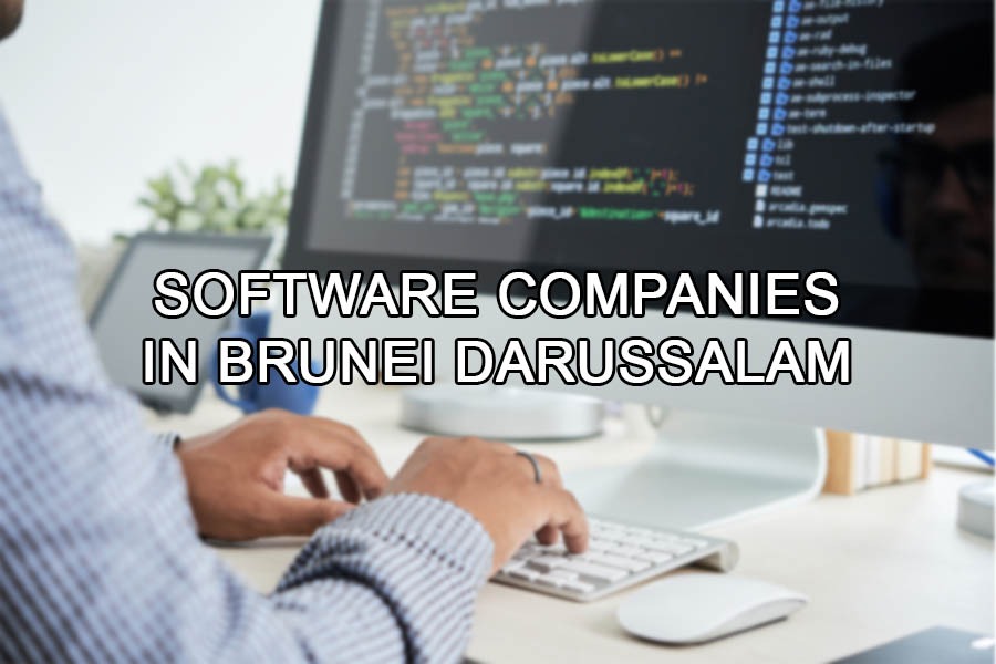 Top software companies in Brunei Darussalam
