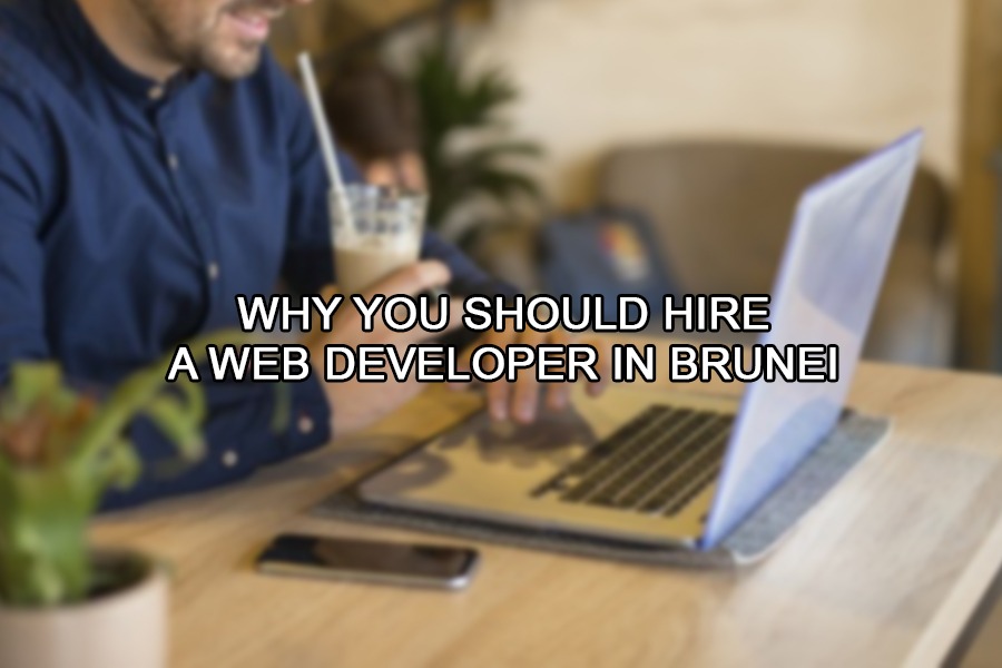 Why You Should Hire a Web Developer in Brunei
