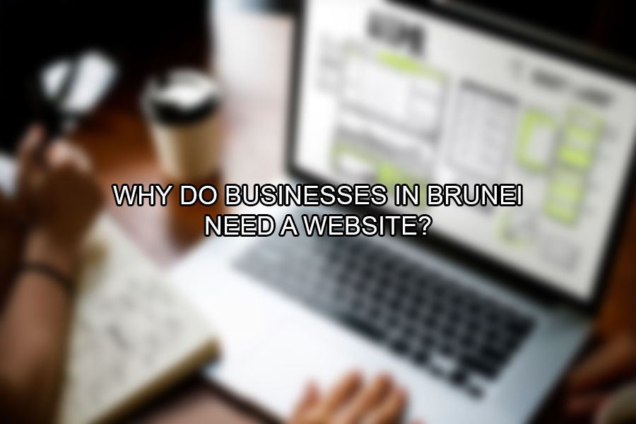 Why Do Businesses in Brunei Need A Website