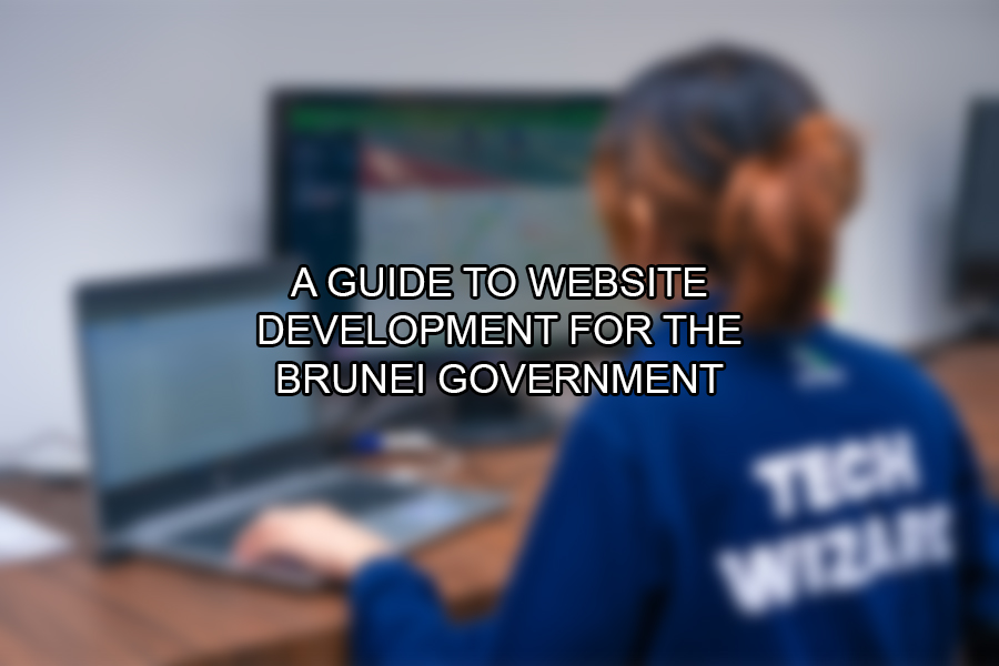 A Guide to Website Development for the Brunei Government