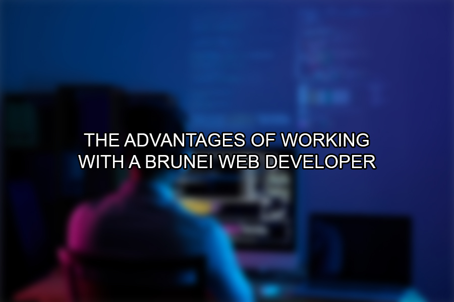 The Advantages of Working with a Brunei Web Developer