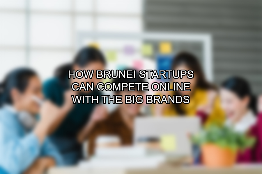 Brunei Digital Marketing | How Brunei Startups Can Compete Online with the Big Brands
