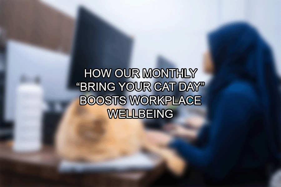 Cats in the Office: How Our Monthly “Bring Your Cat Day” Boosts Workplace Wellbeing
